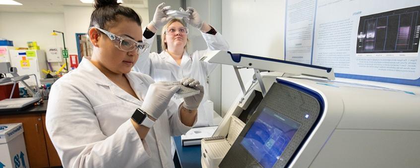 Two Biotechnology students working in a lab